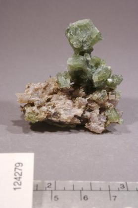 TREMOLITE