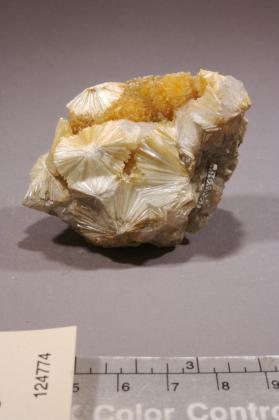 Pyrophyllite