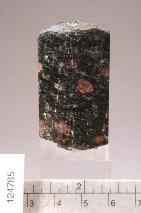 Fluororichterite