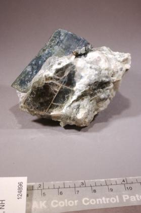 Triphylite with Feldspar and Muscovite and Quartz