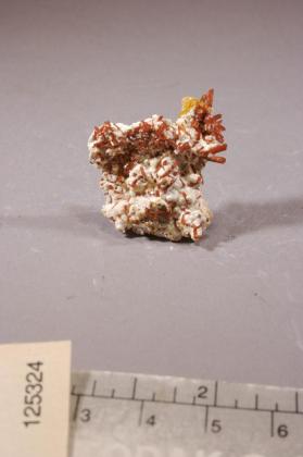 Dundasite with Crocite