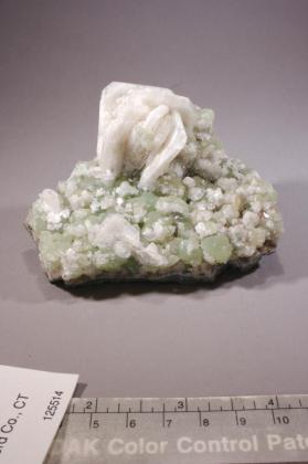 Apophyllite