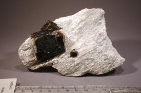 Dravite