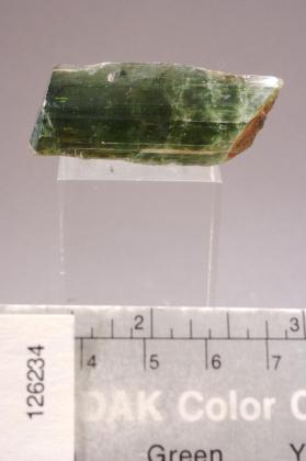 Actinolite