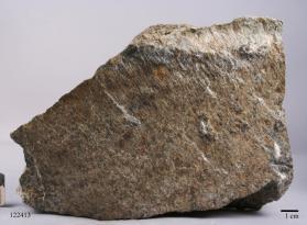 Hornblende