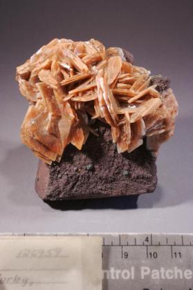 BARITE with HEMATITE and Pyrite