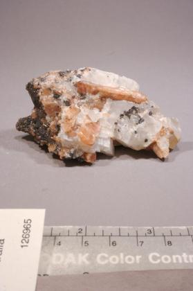 BUSTAMITE with CALCITE