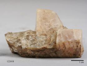 Morganite