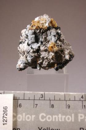 Petarasite with Acmite and RHODOCHROSITE