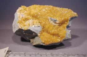 Stellerite