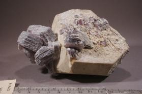 Lepidolite with MICROCLINE