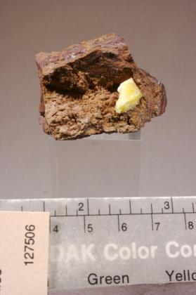 Paradamite