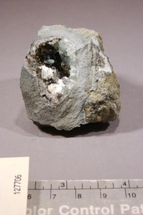 Julgoldite-(Fe2+) with PREHNITE