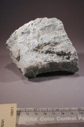 Ammonioleucite