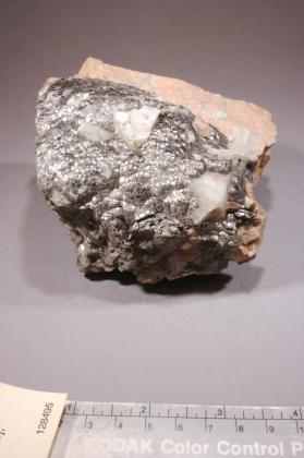 Muscovite