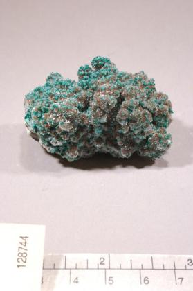 Philipsburgite
