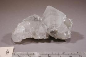 Colemanite