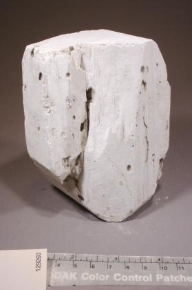 Tincalconite