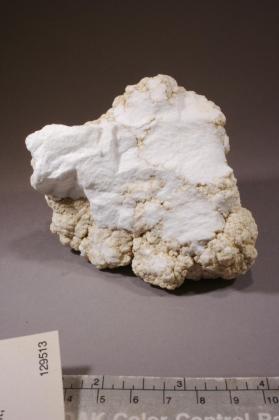 Howlite