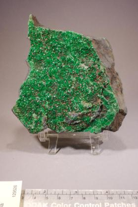 Uvarovite