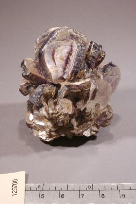 Lepidolite