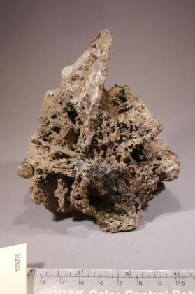 seybertite