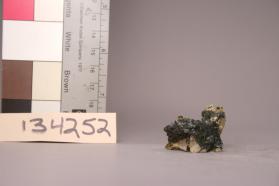 Hornblende with EPIDOTE and Quartz