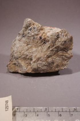 Muscovite