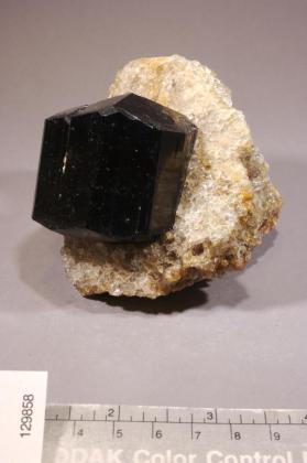 SCHORL