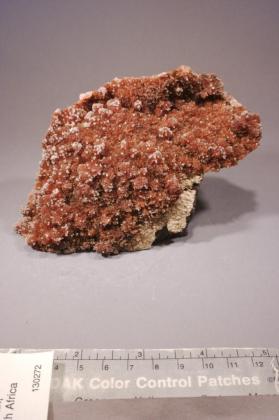 Inesite with Orlymanite