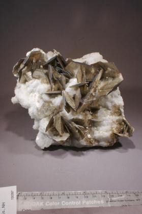 Muscovite