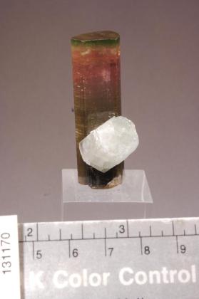 FLUORAPATITE with ELBAITE