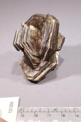 Muscovite