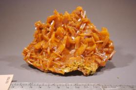 Wulfenite