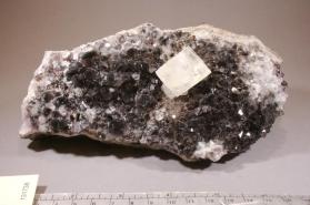 CALCITE