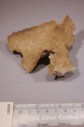 Colemanite