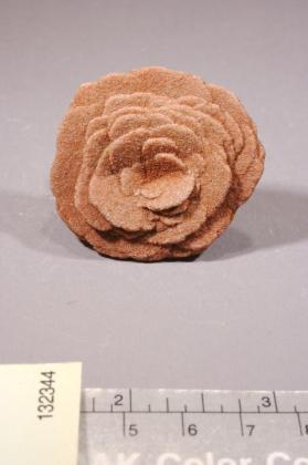 desert rose