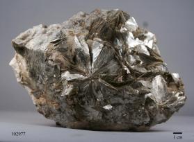 Muscovite