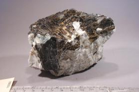 Astrophyllite