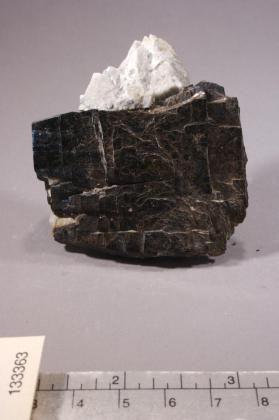 Astrophyllite