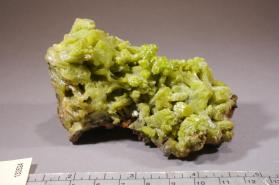 Pyromorphite