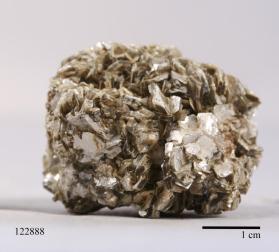 Muscovite