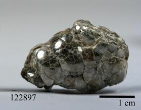 Muscovite