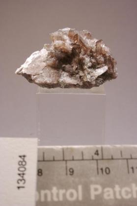 Axinite-(Fe) with TREMOLITE