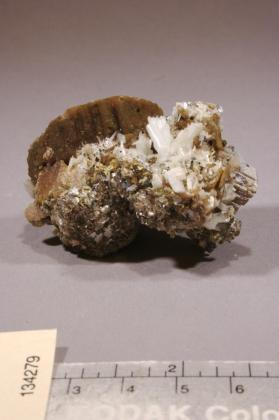 Bertrandite with Siderite