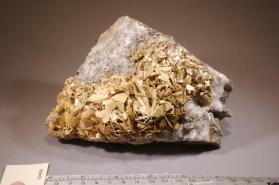 Pyroaurite