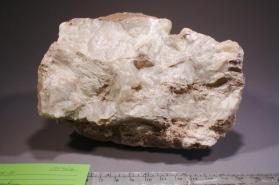 Colemanite