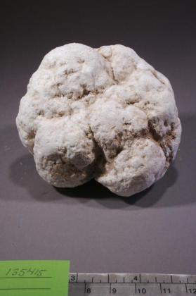 Ulexite