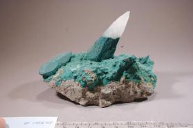 Celadonite with CALCITE