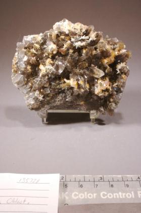 Bertrandite